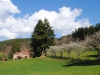 spring1-2014
