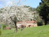 spring2-2014