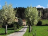 spring4-2014