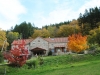 automn4saisons