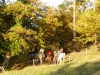 automne à Pâturage