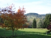 automne2014-4