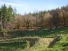 automne2014-5