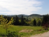 l'été à Pâturage