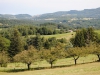 l'été à Pâturage