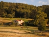ete2018paturage2