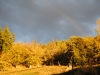 ete_arc_en_ciel