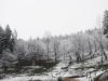lieu-dit Pâturage (07240 Silhac) en hiver