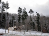 lieu-dit Pâturage en hiver