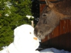 ch gourmand