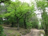 environs du lieu-dit Pâturage